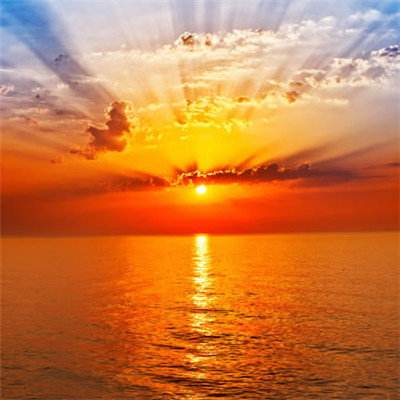 天博网页版入口平台